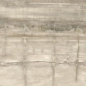 Fossil Wood Beige Naturale 45X45 301683 Напольная / Керамогранит Матовая